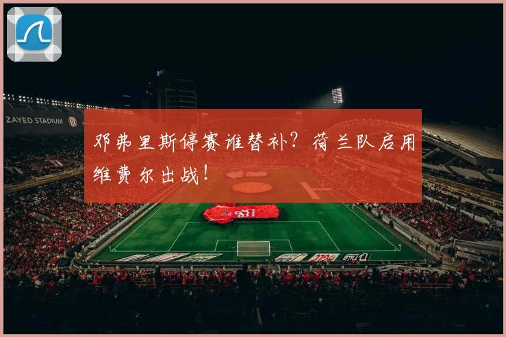 邓弗里斯停赛谁替补？荷兰队启用维费尔出战！