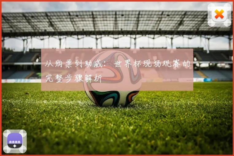 从购票到助威:世界杯现场观赛的完整步骤解析