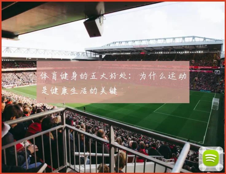 体育健身的五大好处：为什么运动是健康生活的关键