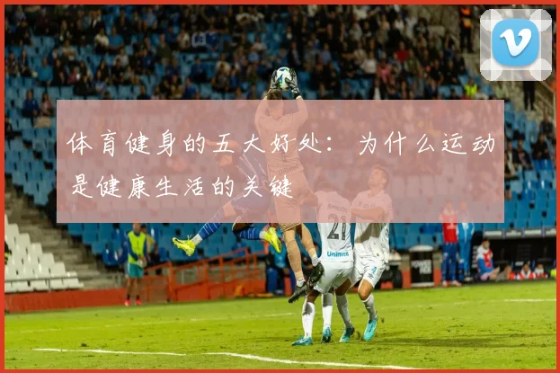 体育健身的五大好处：为什么运动是健康生活的关键